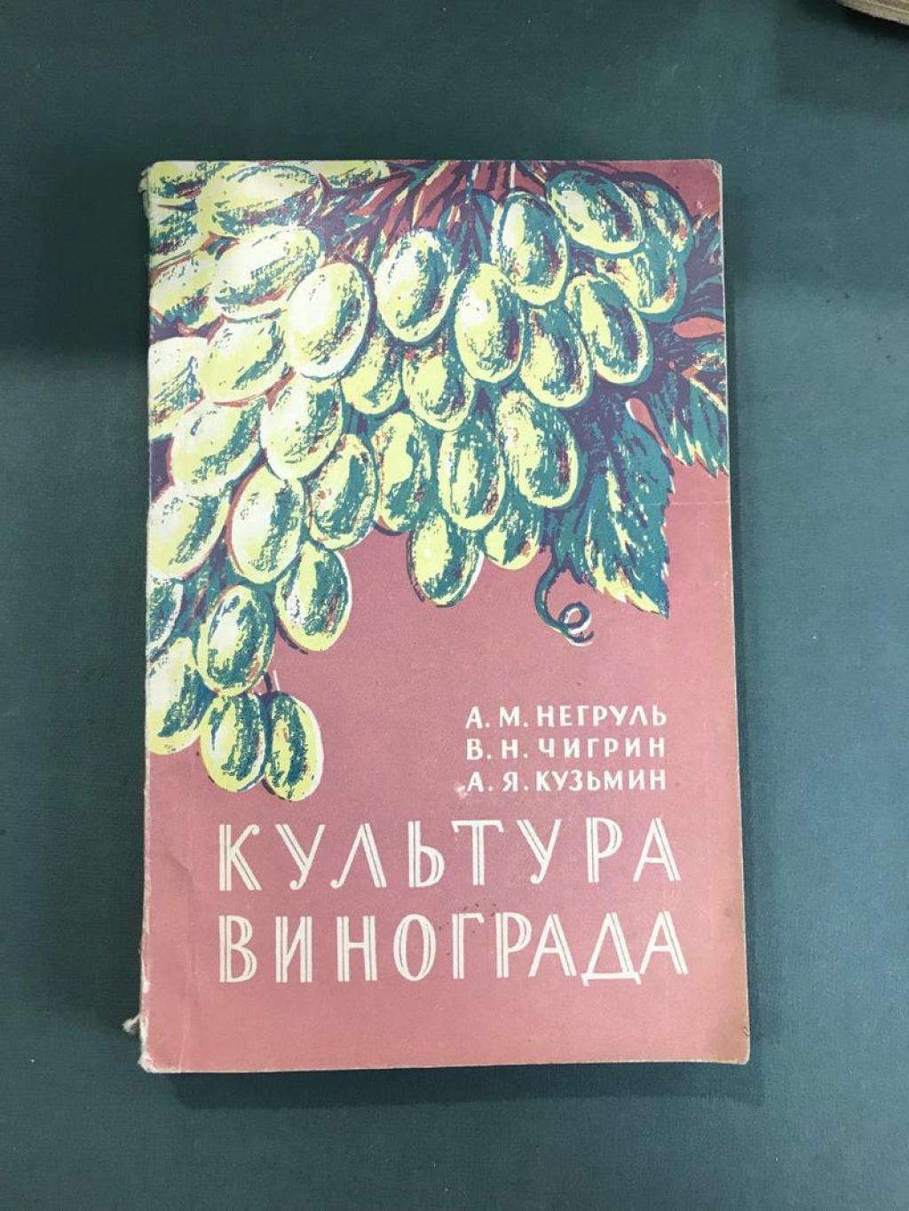Негруль виноградарство