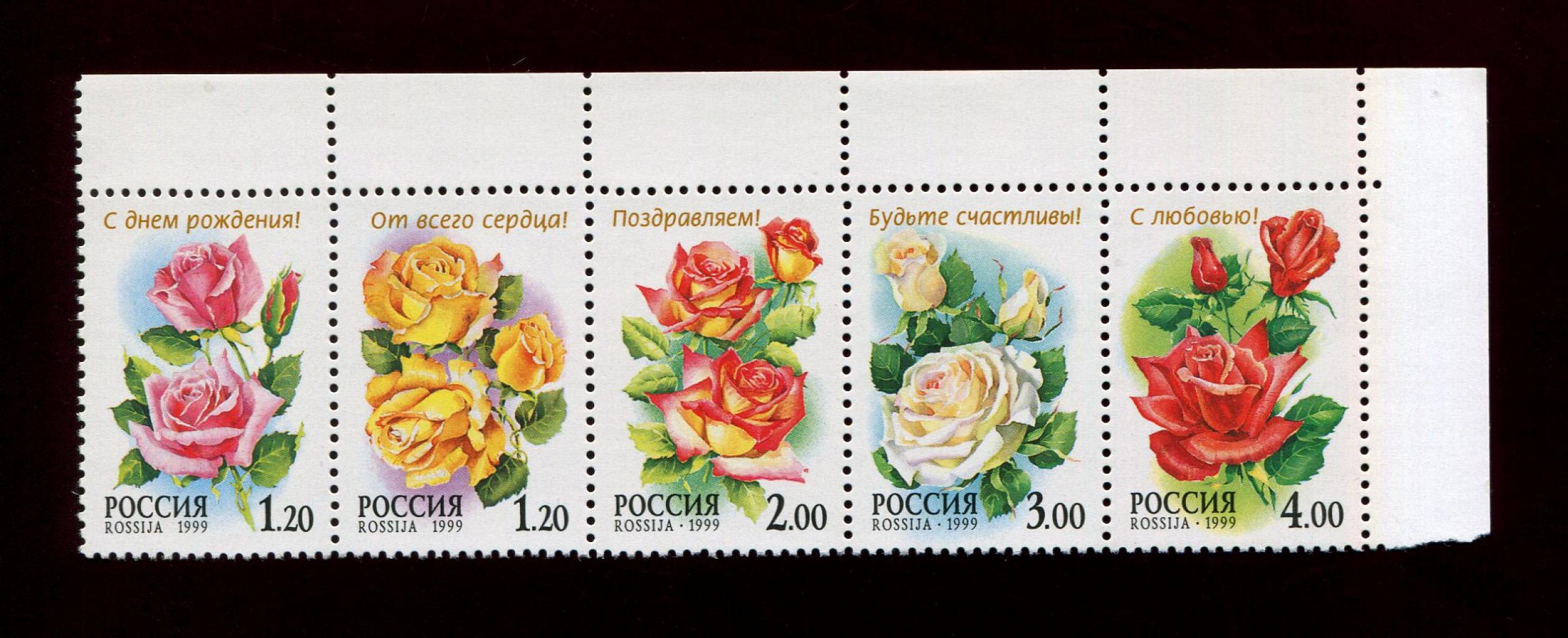 Роза Флора Интернет Магазин Почтой